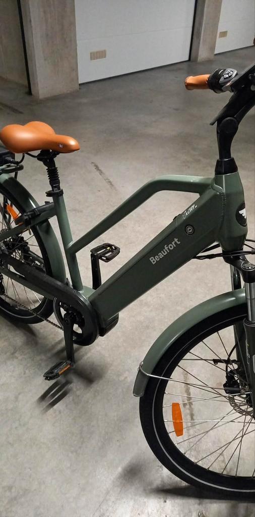 Beaufort Bailey, Fietsen en Brommers, Elektrische fietsen, Ophalen