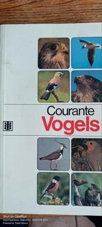 Courante vogels, Boeken, Natuur, Ophalen, Zo goed als nieuw, Vogels