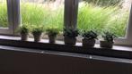 Kunststof plantjes, Ophalen of Verzenden, Zo goed als nieuw
