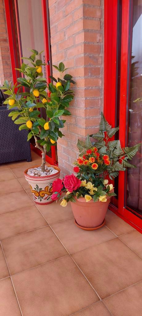 Appartement te huur in Benidorm, Vakantie, Vakantiehuizen | Spanje, Appartement, Tv, Wasmachine, Zwembad