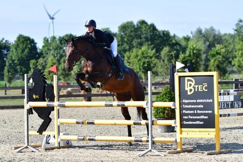 Springpaard te koop, Dieren en Toebehoren, Paarden, Merrie, M, Springpaard