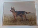 gravure signée Jean Renaud, un chien de berger allemand, Enlèvement ou Envoi
