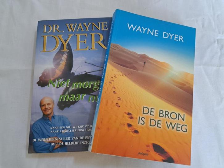 Wayne Dyer  – mooie korting bij meerdere aankopen, Livres, Livres Autre, Enlèvement ou Envoi