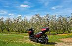 Honda Forza, Fietsen en Brommers, Overige modellen, Benzine, 125 cc, Ophalen of Verzenden