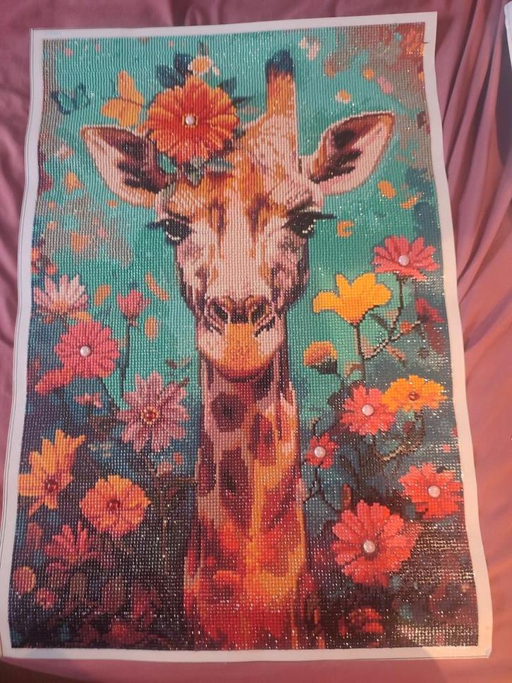 Toiles diamond painting en 40. 60, Hobby en Vrije tijd, Ministeck, Zo goed als nieuw, Ophalen of Verzenden