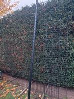 Grand panneau de clôture DOUBLE FIL avec poteau, Enlèvement, Neuf, Fer, Clôture en treillis métallique double