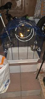 Cage oiseau, Animaux & Accessoires