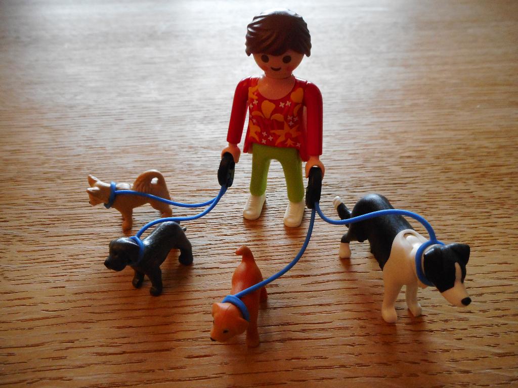 Playmobil 5380 - Hondenoppas, Ophalen of Verzenden, Zo goed als nieuw, Complete set