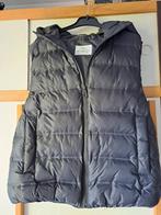 Body warmer, Enfants & Bébés, Vêtements enfant | Taille 152, Garçon, Pull ou Veste, Comme neuf, Enlèvement