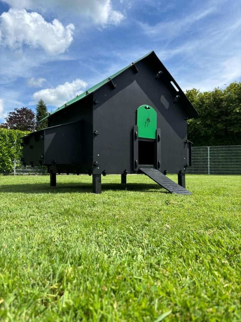 Pluverdi kippenhok Brussels (12-24 kippen): OP VOORRAAD, Dieren en Toebehoren, Ophalen of Verzenden, Nieuw, Kippenhok of Kippenren