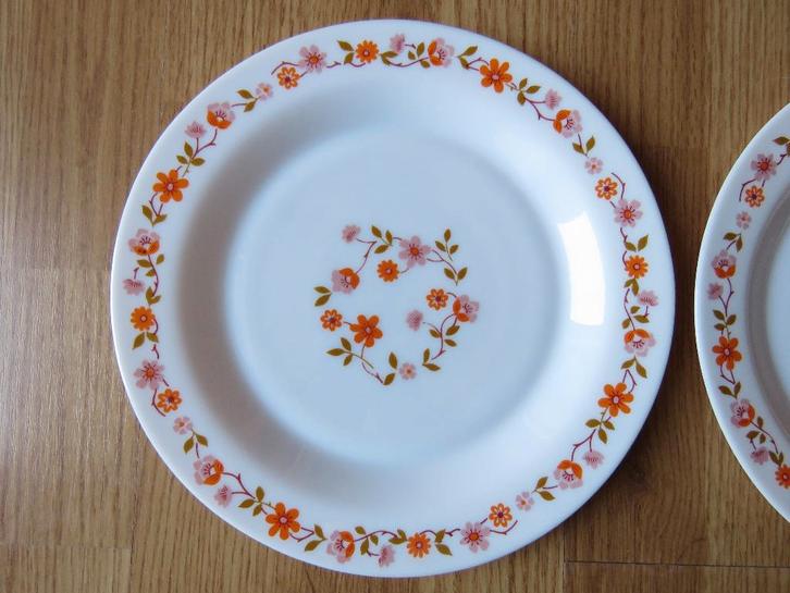vintage arcopal 2 grandes assiettes plates motifs scania, Huis en Inrichting, Keuken | Servies, Gebruikt, Bord(en), Ophalen of Verzenden