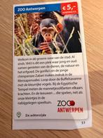 Kortingsbon voor Zoo Antwerpen, Tickets & Billets