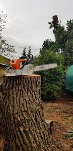 Kap en Snoeiwerken - Freeswerken - Tuinwerken - ( Beton ) sc, Enlèvement ou Envoi