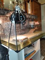 Aquarium voor waterschildpadden., Dieren en Toebehoren, Ophalen