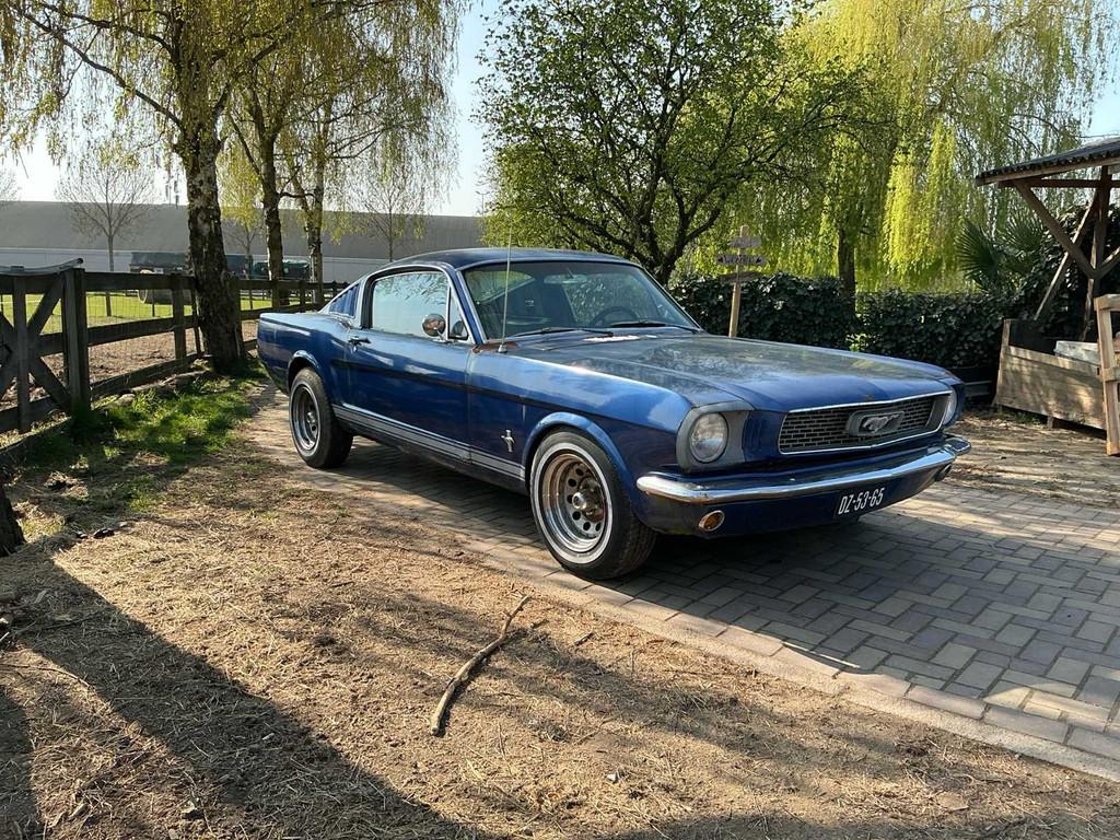 Voiture particulière Ford MUSTANG Fastback de 1966, Autos, Achat, Entreprise, Cabriolet, Boîte manuelle