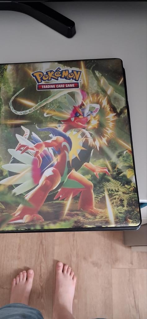 Pokémon boekje, Enlèvement