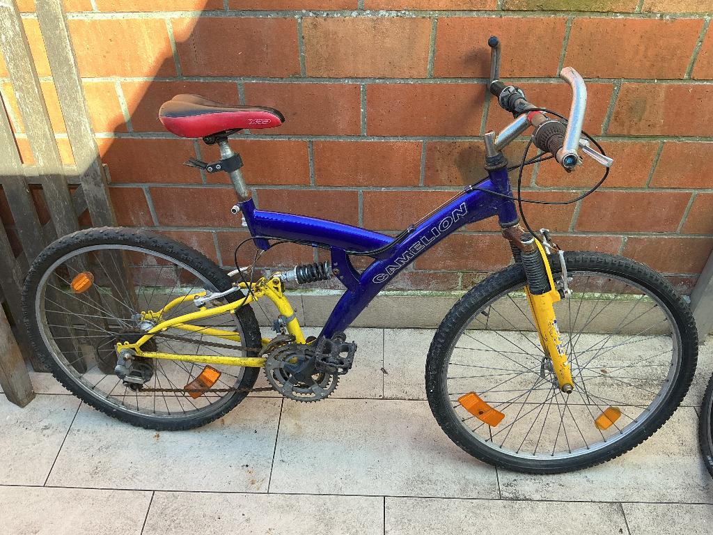 Camelion Mountainbike–Full Suspension–Goede basisfiets, Ophalen