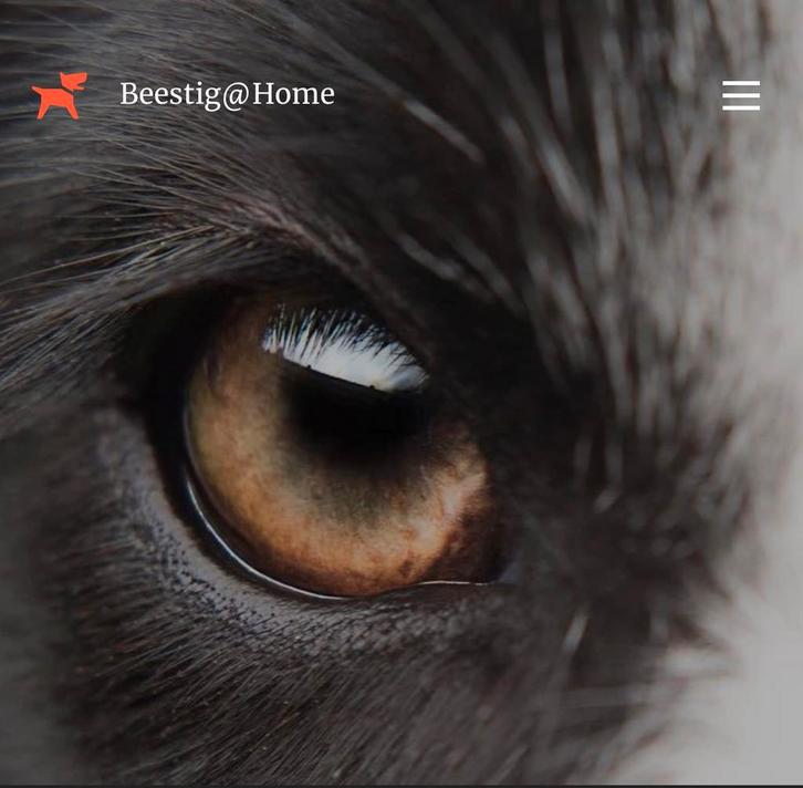 Huisdierenoppas - Uitlaatservice - Dierentaxi, Vakantie, Vakantie | Aanbiedingen en Last minute