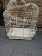 Cage oiseaux, Enlèvement ou Envoi