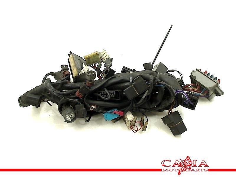 FAISCEAU DE CÂBLAGE DIVERS Tiger 900 1999-2000 (T709 885i), Dhr. S. di Majo, Utilisé, Info@cama-motorparts.nl, P.J. Troelstraweg 8 8
3144 CX  MAASSLUIS, NL