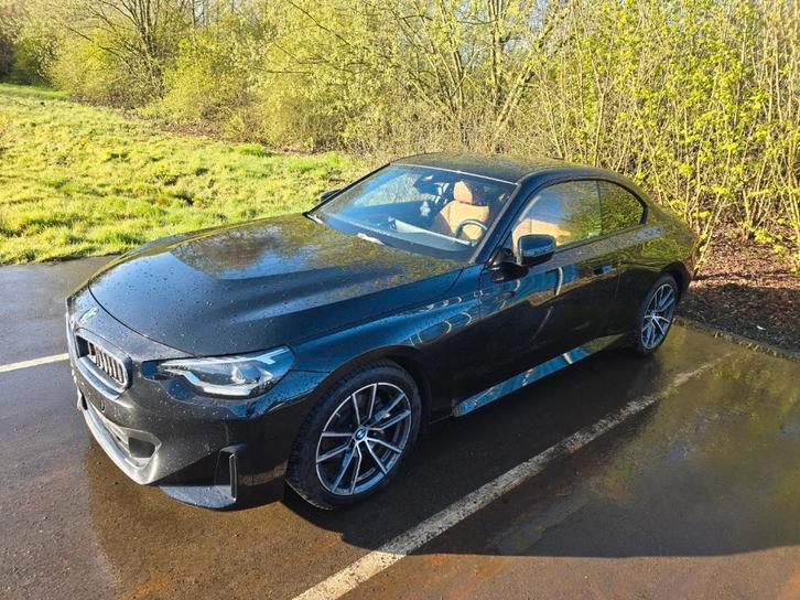 BMW 218i, Auto's, BMW, Bedrijf, 2 Reeks, ABS, Achteruitrijcamera, Airbags, Airconditioning, Android Auto, Apple Carplay, Bluetooth