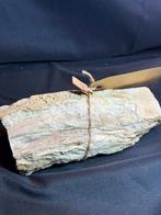 Versteend hout uit België – Hoegaarden – 750g – €17, Verzamelen, Ophalen of Verzenden