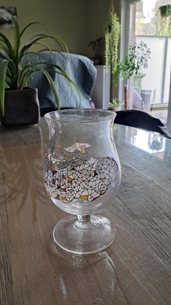 Duvel glazen, Verzamelen, Ophalen of Verzenden, Nieuw, Bierglas