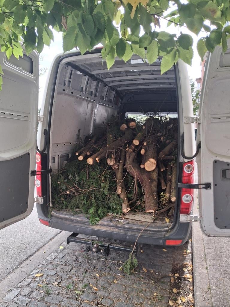 Élagueur disponible, Enlèvement ou Envoi