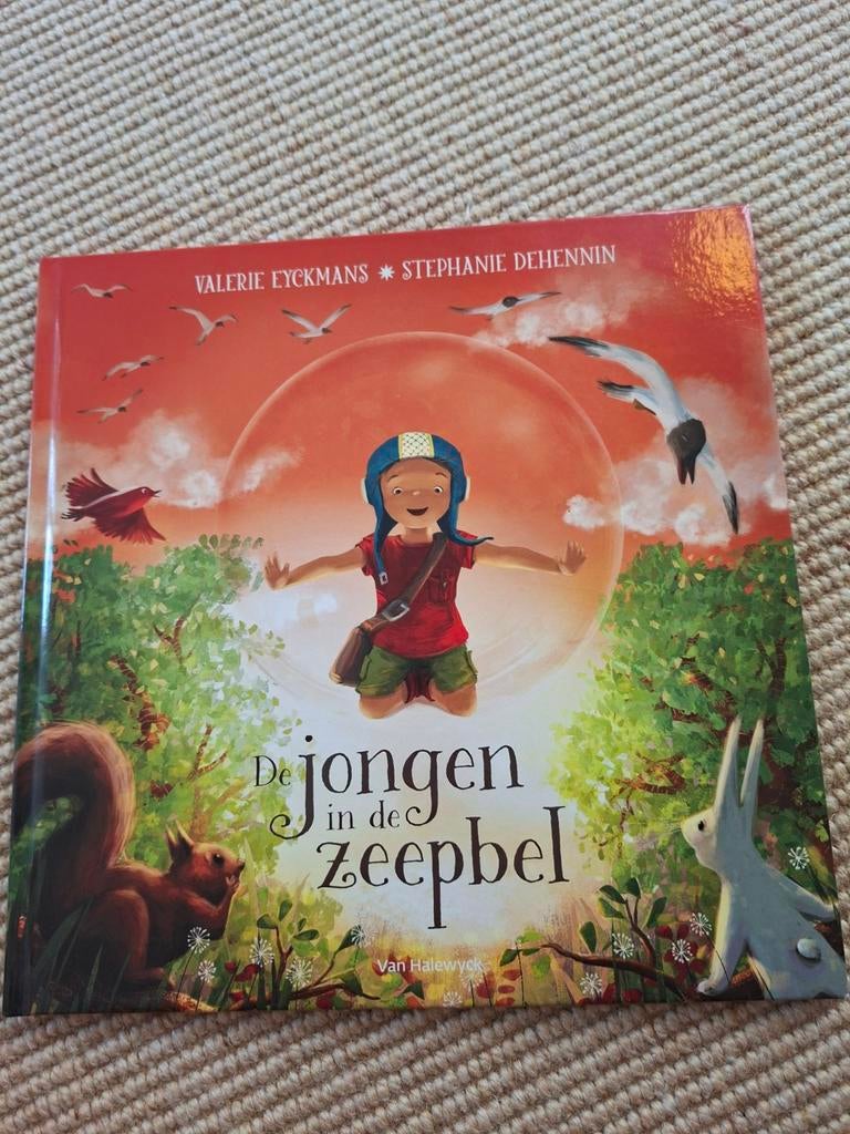 Kinderboek : De jongen in de zeepbel, Livres, Livres d'images & Albums d'images, Enlèvement ou Envoi