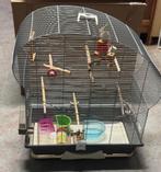 vogelkooi met benodigdheden, Ophalen, Gebruikt, Metaal, Vogelkooi