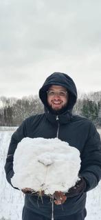 Bijles Chemie/Fysica + voorbereiding toelatingsexamen Arts, Variabele uren, Vanaf 3 jaar, Overige vormen, Geschikt als bijbaan