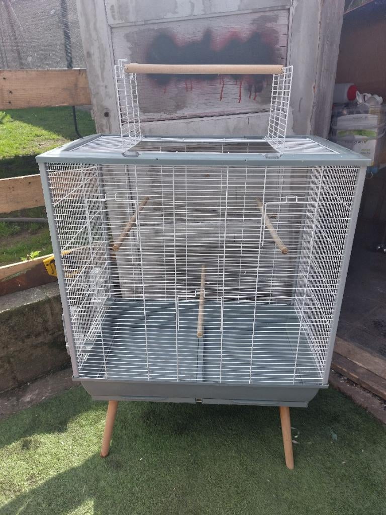 Cage oiseaux, Animaux & Accessoires, Enlèvement