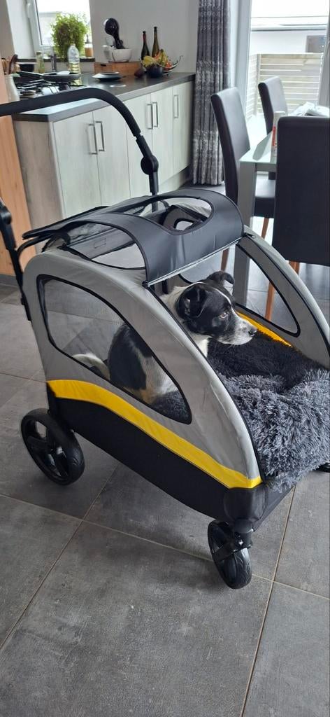 Poussette NEUVE pour chiens jusqu'à 50kg, Animaux & Accessoires, Enlèvement