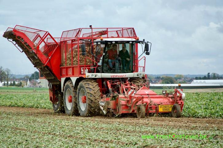 Vervaet Beet eater 625, Articles professionnels, Agriculture | Tracteurs, Utilisé, Enlèvement