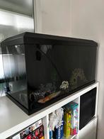 Aquarium Juwel met 3D wanden, filter, verwarm. & verlichting, Animaux & Accessoires, Enlèvement, Utilisé, Aquarium vide