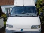 Paarden camionette, Particulier, Te koop, Fiat