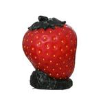 Fraise 70 cm - polyester fraise, Enlèvement, Neuf