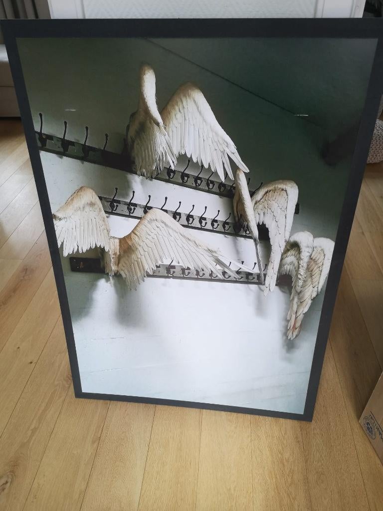 Photographie Ailes Anges, Enlèvement