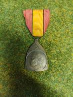 Médaille commémorative    de la Guerre de 1914 - 1918, Collections, Enlèvement ou Envoi