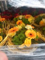 Super acties in bloemen in de haan aan scherpe prijzen, Tuin en Terras, Ophalen of Verzenden