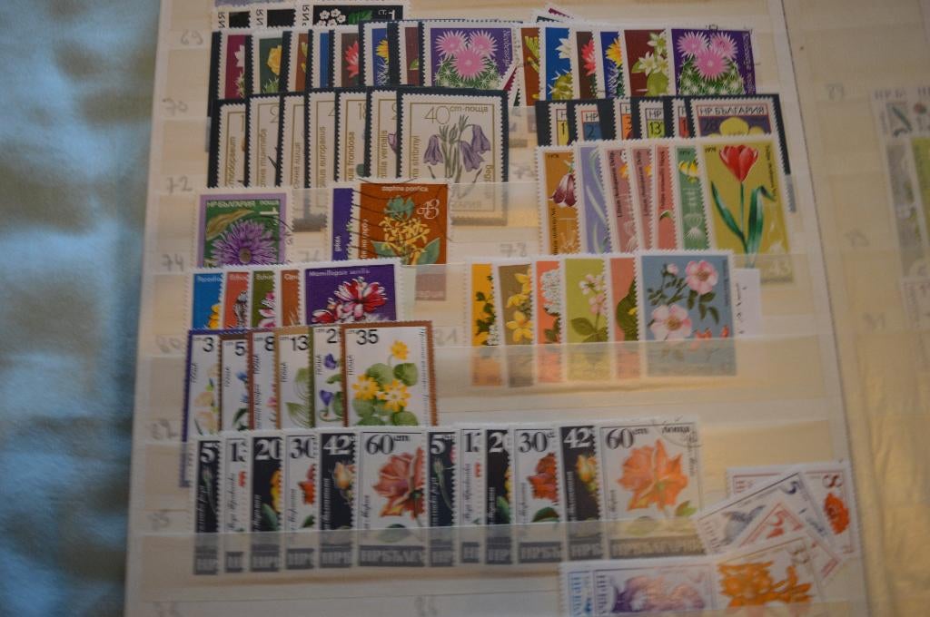 postzegel vezameling bloemen over heel de wereld  6 boeken, Ophalen