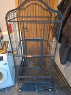 Cage pour perruches ou perroquets, Perroquet