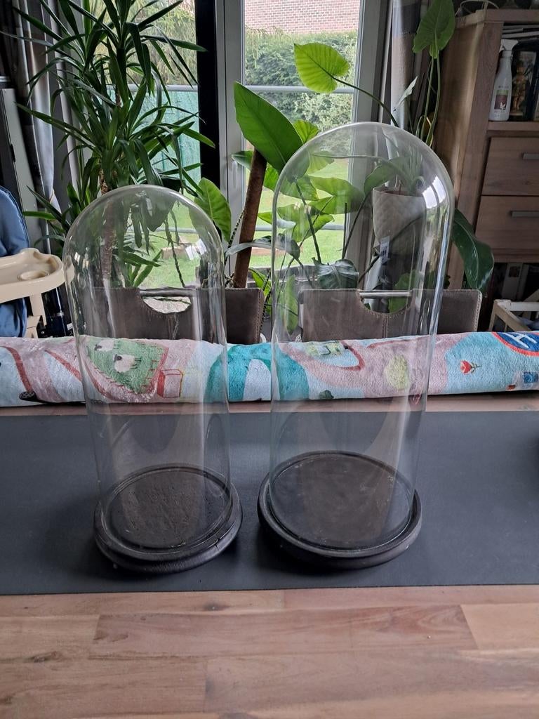 antieke grote glazen stolpen +- 120 jaar oud, Ophalen