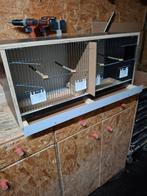 Nieuw vogelkooi, Dieren en Toebehoren, Ophalen, Nieuw, Hout, Broedkooi of Kweekkooi
