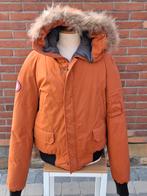 Bomber jacket Marlboro Classic., Marlboro Classics, Maat 56/58 (XL), Oranje, Ophalen of Verzenden