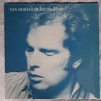 LP Van Morrison –  Into The Music, Cd's en Dvd's, Vinyl | Rock, Ophalen of Verzenden, Gebruikt, 12 inch