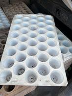 stekplaat zaaiplaat plantplaat 38 gaten, Jardin & Terrasse, Moins de 30 cm, Intérieur, Enlèvement ou Envoi, Synthétique