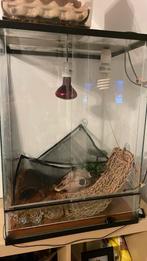 Terrarium, Dieren en Toebehoren, Ophalen, Gebruikt, Terrarium of Paludarium