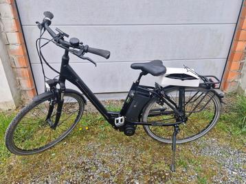 kalkhof (raleigh)evo dame  beschikbaar voor biedingen