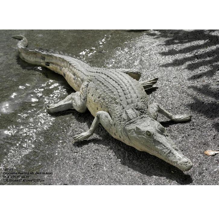 Crocodile Resting – Krokodil beeld Lengte 131 cm, Verzamelen, Dierenverzamelingen, Nieuw, Ophalen
